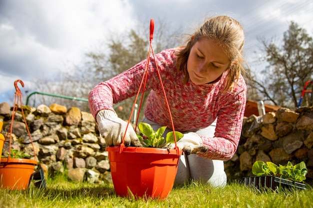 Giardiniere n guanti domestici che piantano un fiore in una giornata di sole in vaso