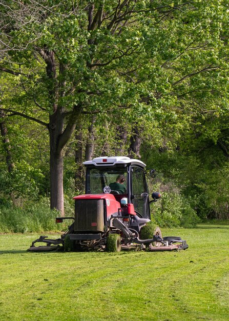 Giardiniere professionista che taglia erba verde sulla macchina tosaerba nel parco Foto di alta qualità