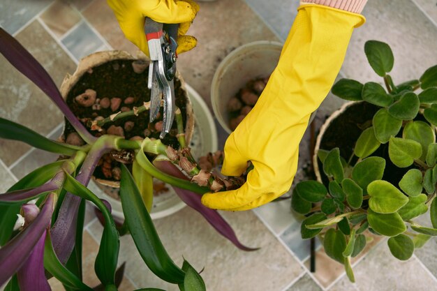 Giardinieri che piantano a mano fiori in vaso