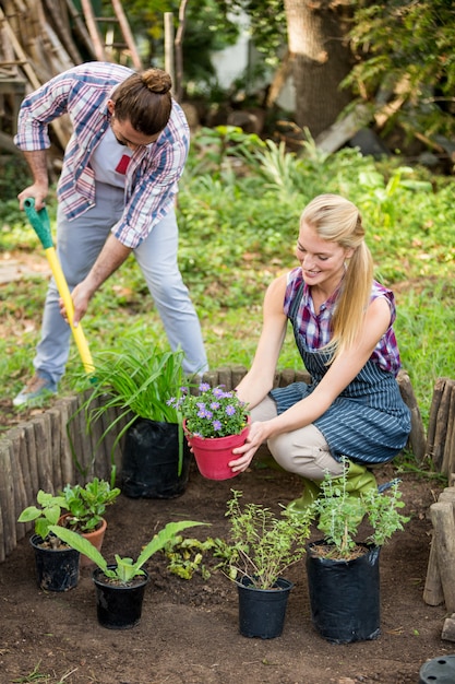 Giardinieri che piantano al giardino