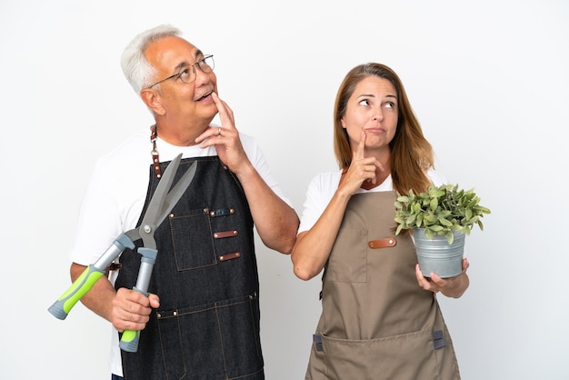 Giardinieri di mezza età che tengono una pianta e forbici isolate su sfondo bianco pensando a un'idea mentre guardano in alto