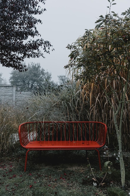 Giardino ancora in vita con panca in metallo rosso durante la nebbiosa mattina d'autunno