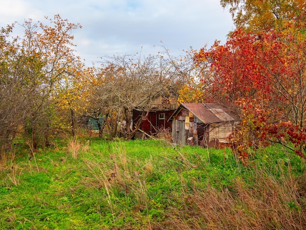 Giardino autunnale abbandonato con un fienile Orto colorato vicino alla casa del villaggio in una giornata autunnale