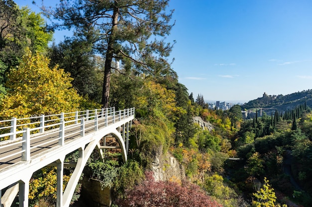 Giardino botanico autunnale di Tbilisi