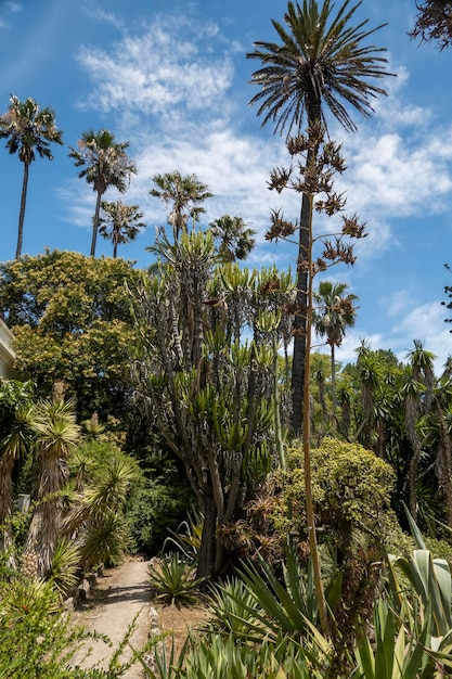 Giardino botanico di Lisbona