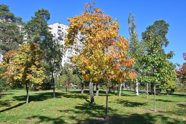 Giardino botanico nella città di Kiev