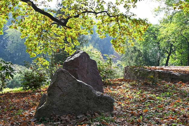 Giardino botanico nella città di Kiev