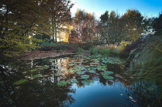 Giardino con laghetto dai colori autunnali