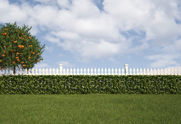 Giardino con recinzione e siepe