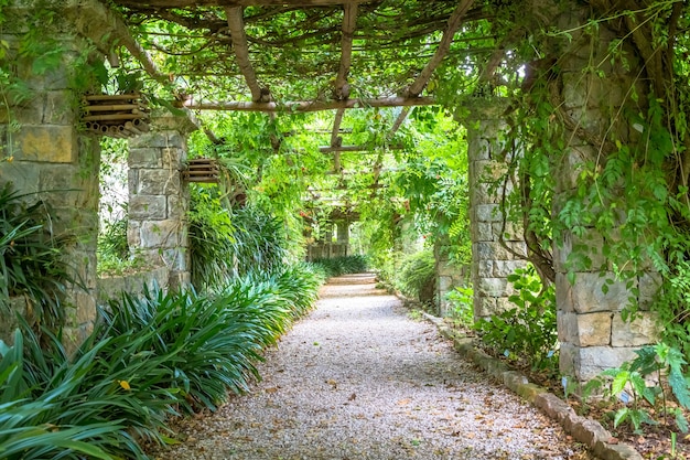 Giardino con struttura a pergolato dai colori vivaci durante la tarda stagione estiva. Questa architettura e design sono stati ispirati dalla natura.