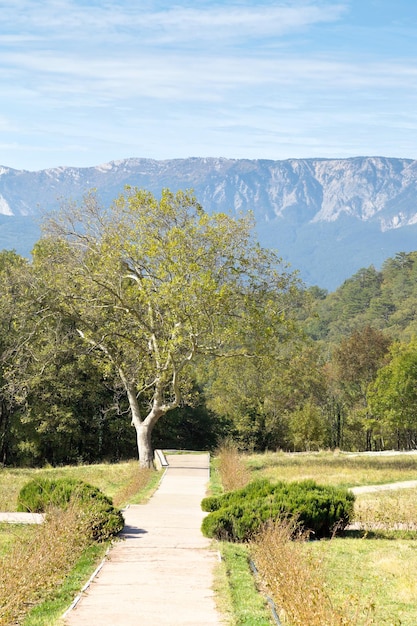 Giardino del palazzo massandra in Crimea