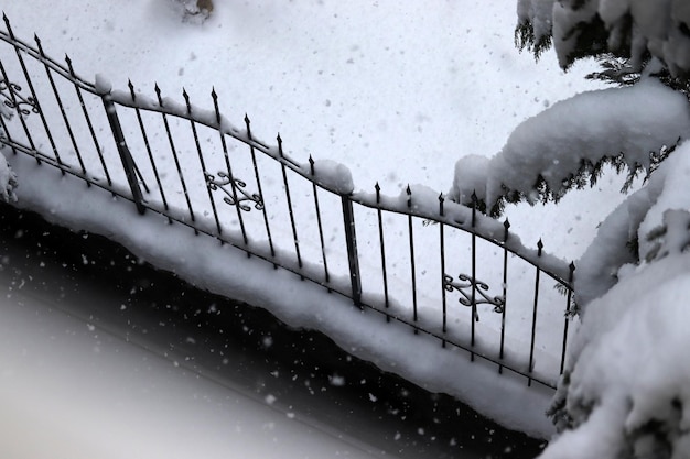 Giardino della casa coperto di neve