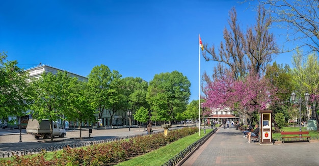 Giardino della città a Odessa durante la guerra in Ucraina