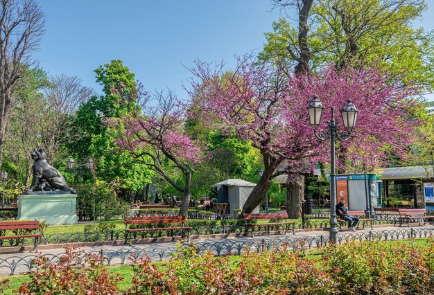 Giardino della città a Odessa durante la guerra in Ucraina