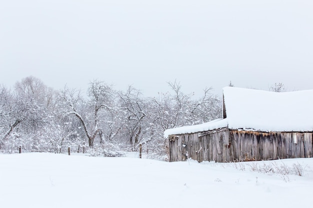 Giardino delle mele d'inverno con il vecchio fienile in legno grigio