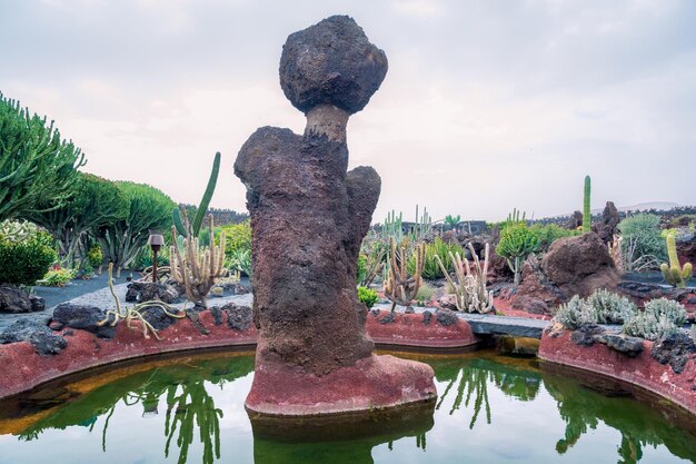 Giardino di cactus Lanzarote Isole Canarie Spagna