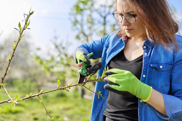 Giardino di potatura primaverile, giardiniere donna con forbici da giardino in mano fa la potatura di rami su alberi da frutto, pesco