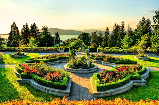 Giardino di rose nel campus dell'Università della British Columbia a Vancouver in Canada