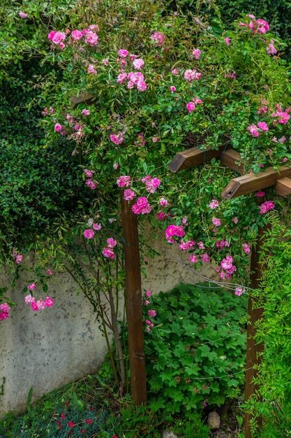 Giardino di roseloirefrance