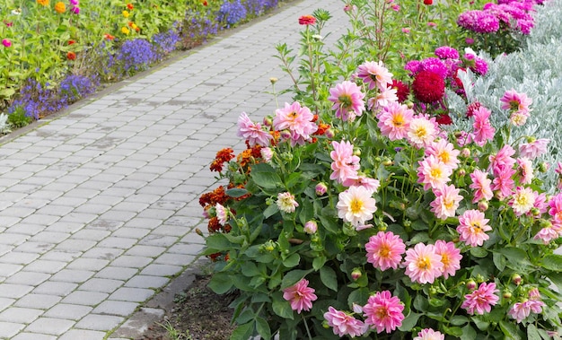 Giardino fiorito con fiori di stagione in fiore