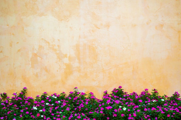 giardino fiorito con sfondo muro di cemento