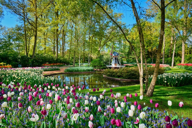 Giardino fiorito di Keukenhof. Lisse, Paesi Bassi.