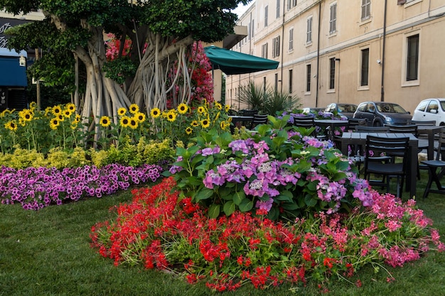 Giardino fiorito multicolore all'interno della città di Sassari