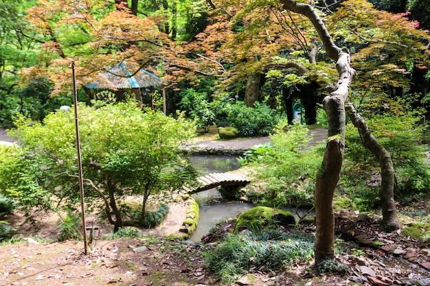 Giardino giapponese con lago nel giardino botanico di Batumi, Georgia