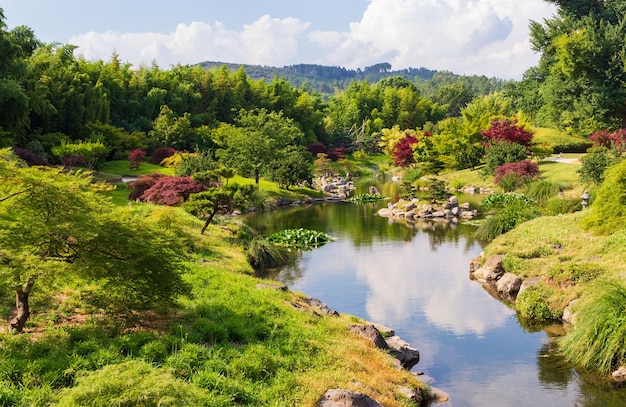 Giardino giapponese e natura in primavera