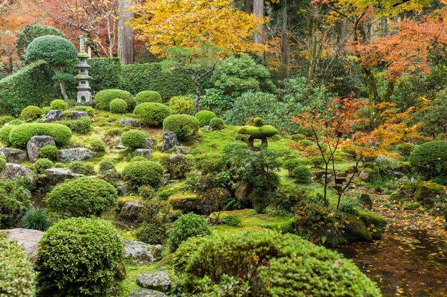 Giardino giapponese in autunno