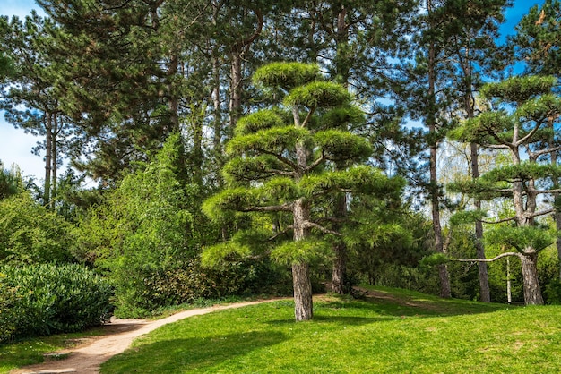 Giardino giapponese in Nordpark Dusseldorf Germania