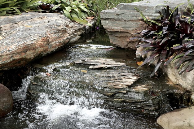 Giardino giapponese nel lago