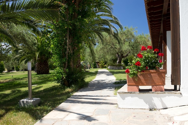 Giardino greco con grande vaso di terracotta