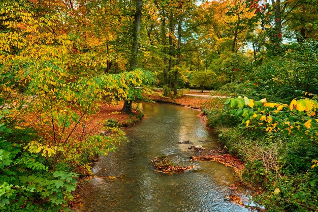 Giardino inglese di Monaco di Baviera Englischer garten park in autunno Monaco di Baviera Baviera Germania