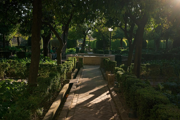 Giardino interno dell'Alcazar di Cordoba Andalusia Spagna