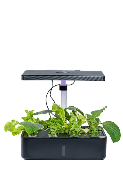 Giardino interno intelligente con lampada uv su sfondo bianco isolato