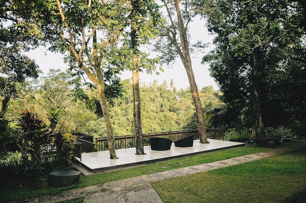 Giardino nel cortile di un'accogliente villa a Bali Indonesia