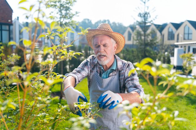 Giardino. Piacevole uomo in pensione coinvolto che si sente bene a passare il tempo fuori