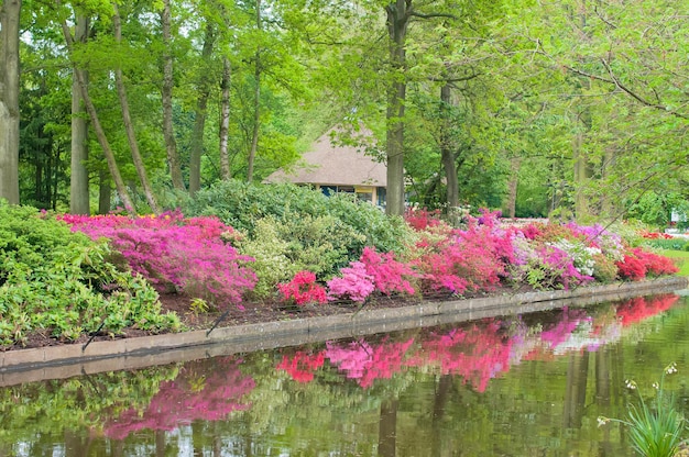 Giardino primaverile con fiori che sbocciano luminosi Messa a fuoco selettiva Concetto di primavera o estate Sfondo della natura primaverile Biglietto di auguri festivo