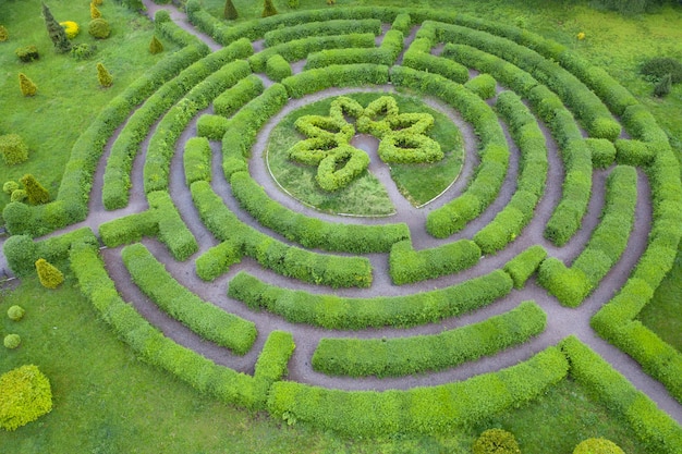 Giardino topiario a forma di labirinto, nel giardino botanico Grishka a Kiev.