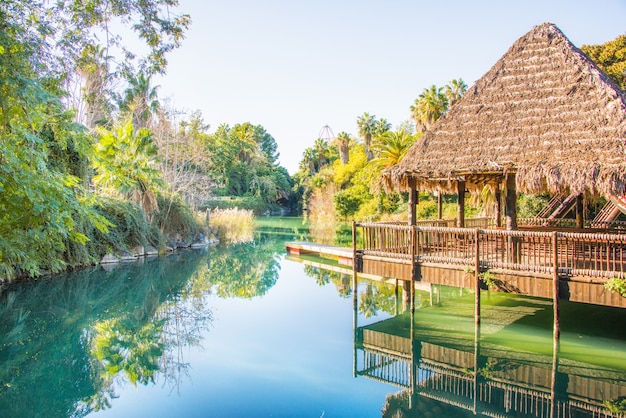 Giardino tropicale e acqua dello stagno