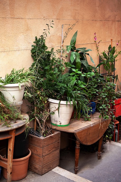 Giardino urbano nella città di Marsiglia Francia