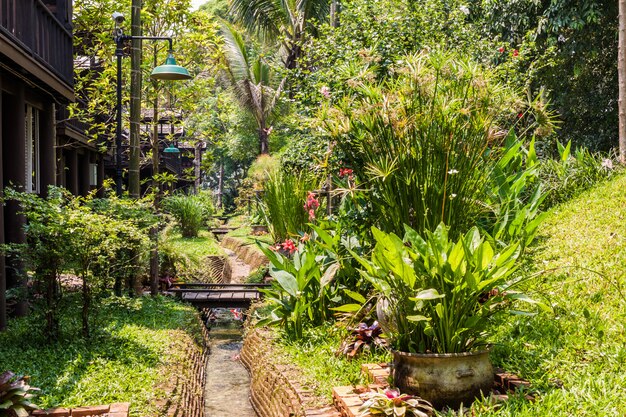 Giardino verde con piccolo canale