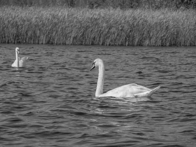 Giethoorn nei Paesi Bassi