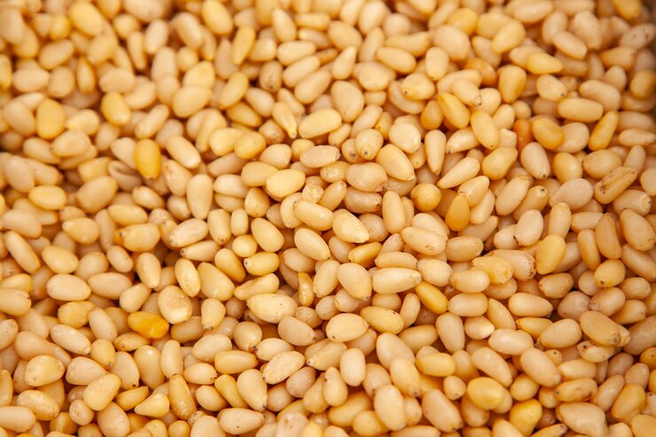 Photo gifts of the taiga. background of peeled raw pine nuts. closeup.