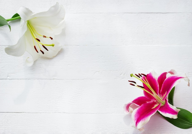 Gigli bianchi e rosa su fondo di legno bianco