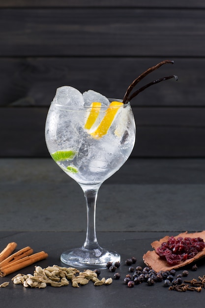 Gin tonic cocktail con ghiaccio vaniglia lima e spezie varie