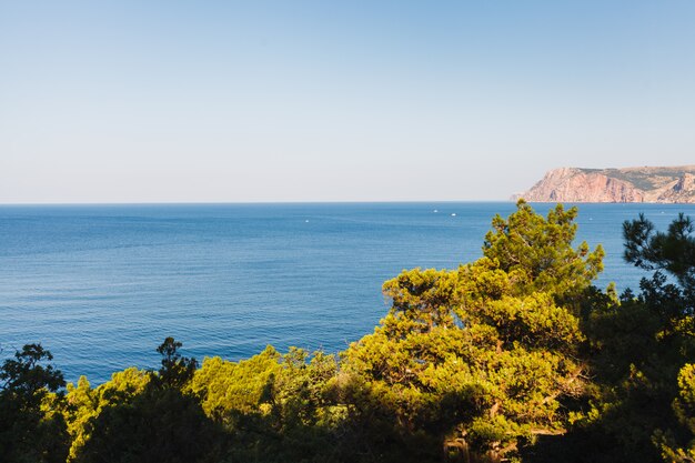 Ginepro cespugli nelle montagne al tramonto dal mare blu