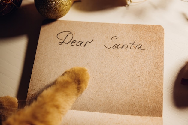 Ginger cat scrive una lettera a Babbo Natale, sul tavolo con una ghirlanda di Natale. Copia spazio. Capodanno. Natale