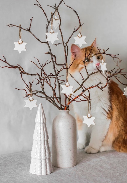 Ginger cat un vaso con stelle di natale che decorano rami e un albero di natale in ceramica sul tavolo Interni accoglienti